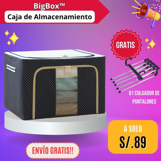 BIGBOX™ - Caja de almacenamiento plegable | Envío Gratis